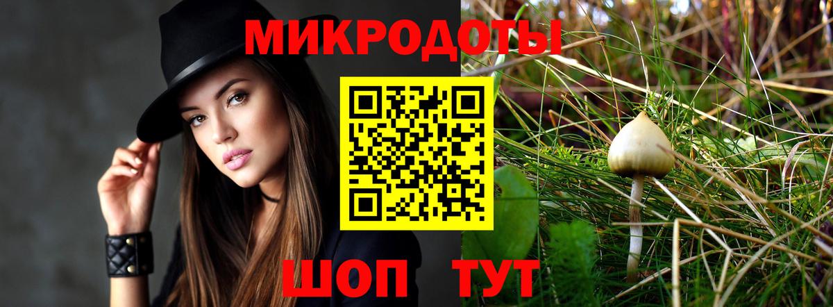 Мирный  Псилоцибиновые грибы прущие грибы  Вход с VPN  Галлюциногенные грибы прущие грибы 